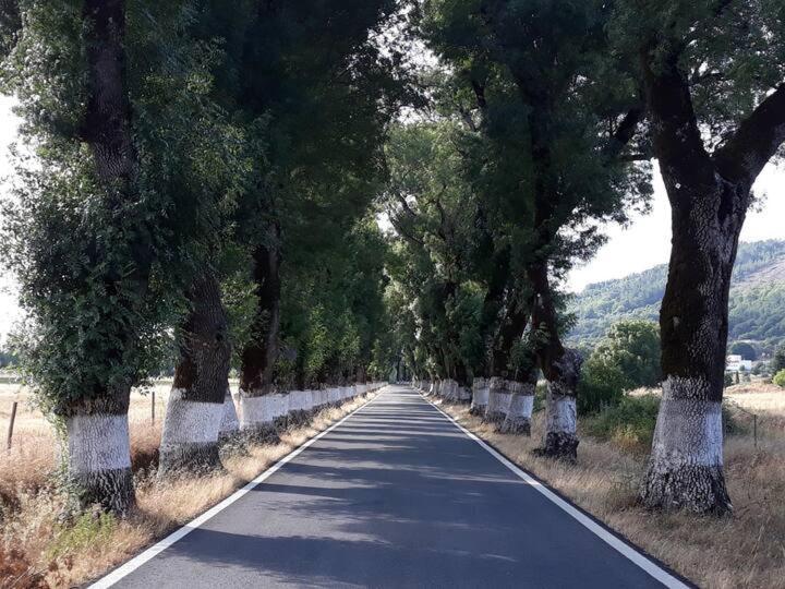 Holiday home O Casulo *